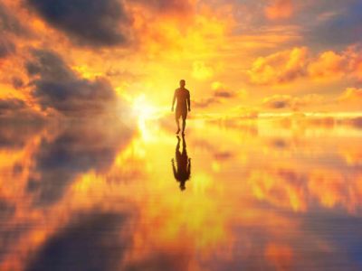 Excerpt: Coming to terms with the virus&nbsp;within